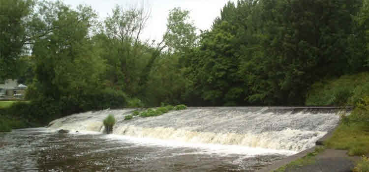 dodder weir